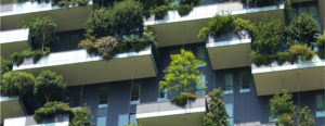 Lire la suite à propos de l’article Végétalisation des copropriétés : l’exemple lyonnais